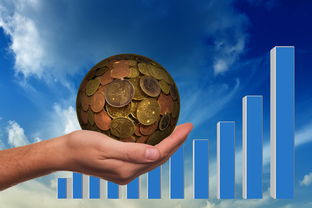 自学能成为黑客吗?掌握这5步轻松入门网络安全,合法高薪不是梦! 自学能成为黑客吗?掌握这5步轻松入门网络安全,合法高薪不是梦!