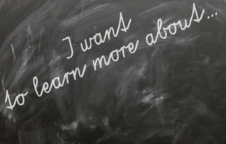 学黑客的最佳年龄：揭秘青少年到成年人的学习优势与挑战，找到你的黄金时机