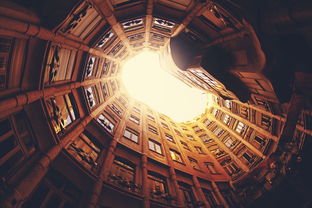 揭秘最牛的黑客年入多少钱：从入门到年入百万美元的完整指南