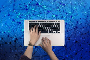 网络技术有限公司电话号码查询指南:快速找到官方联系方式,避免沟通障碍 网络技术有限公司电话号码查询指南:快速找到官方联系方式,避免沟通障碍