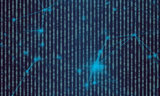 黑客信息网联系方式全攻略：快速找到官方渠道，解决紧急技术问题