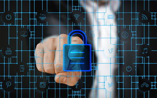 黑客联系平台怎么找？安全合法渠道与风险规避全指南