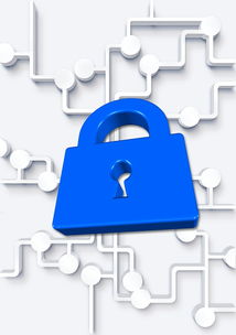 在线接单的黑客服务全解析：价格、风险与合法防护指南